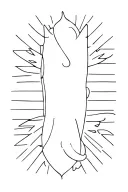 god first tattoo tattoo design idea