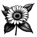 Gerbera tattoo design idea