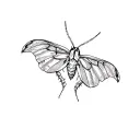 mothra tattoo design idea