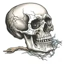 cracked skull, death, mad, emperor tarot style, broken coffin tattoo design idea