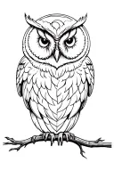 barred owl full moon forest surrounded tattoo design idea