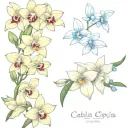 cattleya flowers white orchid and forget-me-not tattoo design idea