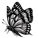 butterfly with the initials AP hidden in wings tattoo design idea