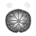 Sand Dollar tattoo design idea