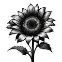 Black and white sunflower tattoo design idea