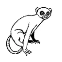 an old style scuba diving lemur tattoo design idea