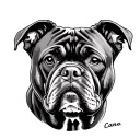 Cane Corso tattoo design idea