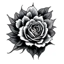 Supra tattoo design idea