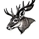Jackalope tattoo design idea