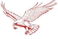 red tailed hawk flying in black and red tattoo design idea