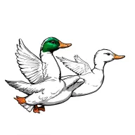 2 ducks flying away. one of them fully colored in and one just outlined resembling two brothers. small tattoo design idea