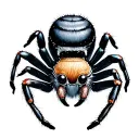 Jumping Spider tattoo design idea