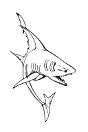 lemon shark tattoo design idea