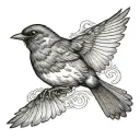 flying robin flying tattoo design idea