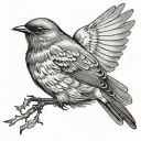 flying robin flying tattoo design idea