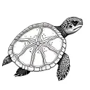 turtle with a sand dollar shell pattern tattoo design idea