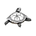 turtle with a sand dollar shell pattern tattoo design idea