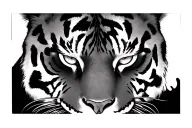 tiger eyes tattoo design idea