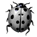 ladybug 444 tattoo design idea