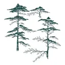 cypress tree, aspen tree and willow tree branches tattoo design idea