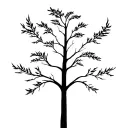cypress tree, aspen tree and willow tree branches tattoo design idea