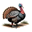 Turkey tattoo design idea