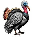 Turkey tattoo design idea