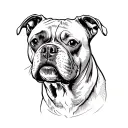 head of pitbull mixed with staford tattoo design idea