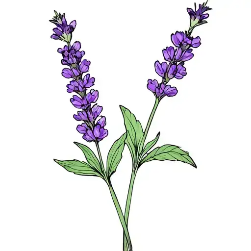 2 lavender flowers outlining, smooth leaves, taper the flower more, fine line tattoo design idea