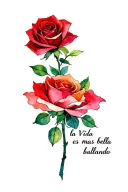 a red rose, something related to bellydance and Arabic drums and the sentence "la Vida es màs bella bailando" tattoo design idea