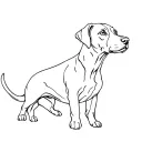 Weimaraner Dog tattoo design idea