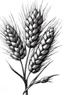 Wheat stalks tattoo design idea