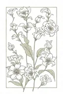 lily of valley,daisy,sweat pea,lily,poppy,aster,morning glory,water lily,carnation,rose, hawthorn,comos flower bouquet  tattoo design idea
