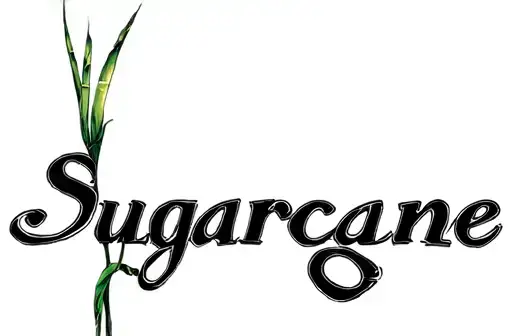 "Sugarcane Gio
" tattoo design idea