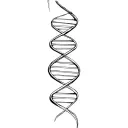 fast and the furious dna helix tattoo design idea