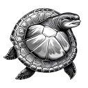 turtle and dolphin tattoo design idea