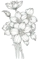 daisy flower aster flower narcissus flower cosmo flowers tattoo design idea