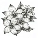 Frangipani tattoo design idea