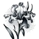iris tattoo design idea