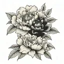 A tattoo of a black and gray full bloom peony with a few additional smaller peonies as well as a single rose  tattoo design idea