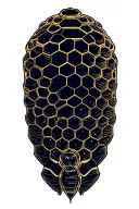 , bee hive, bee sitting, tech / iNNOVATION / LINE tattoo design idea