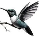 humming bird tattoo design idea