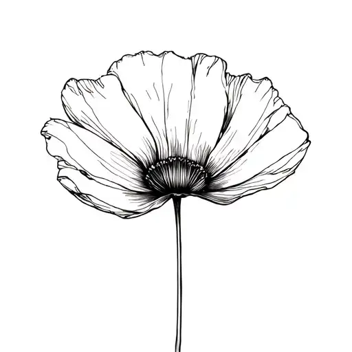 poppy which represents our ephemeral passage tattoo design idea