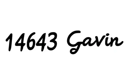 "14643 Gavin" tattoo design idea