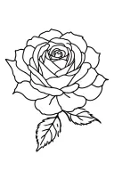 Yorkshire rose tattoo design idea
