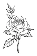 Yorkshire rose tattoo design idea