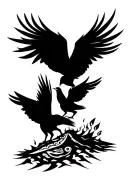 brother sister matching, kiwi bird rising from ashes, Maori tattoo design idea