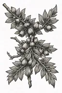 juniper branch American traditional tattoo design idea