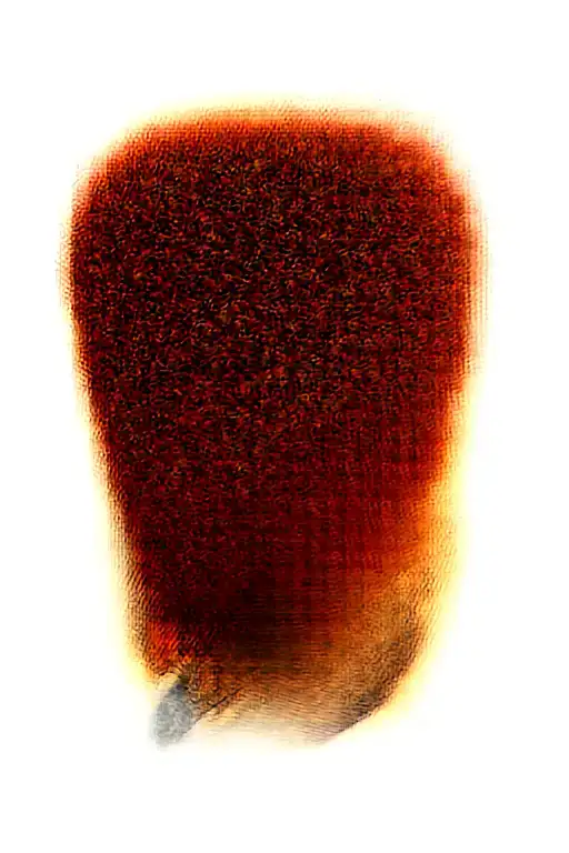 medevil dragon wrapped loosely tattoo design idea