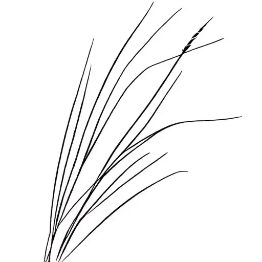 Dune Grass tattoo design idea